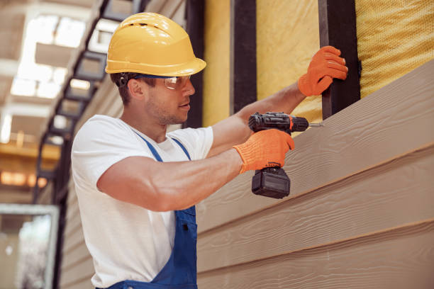 Best Vinyl Siding Installation  in Sheldon, IA